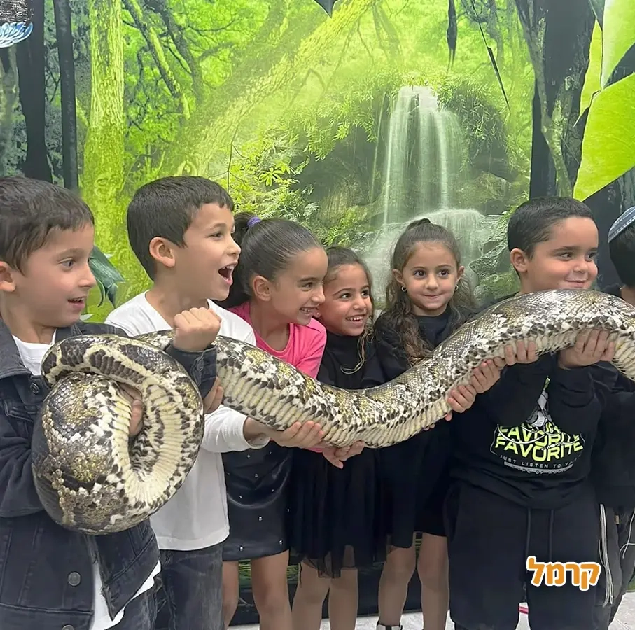 החיות של שלמה - 073-7026361