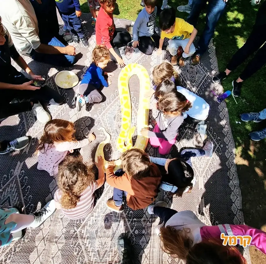 החיות של שלמה - 073-7026361