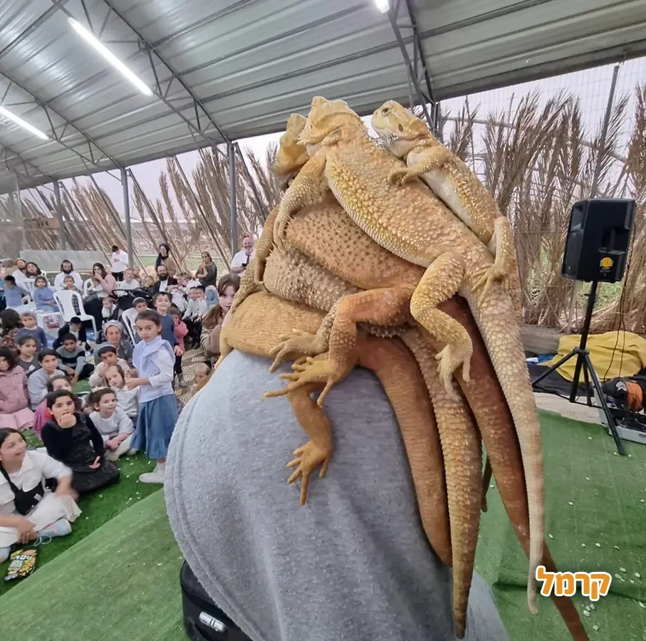 החיות של שלמה - 073-7026361
