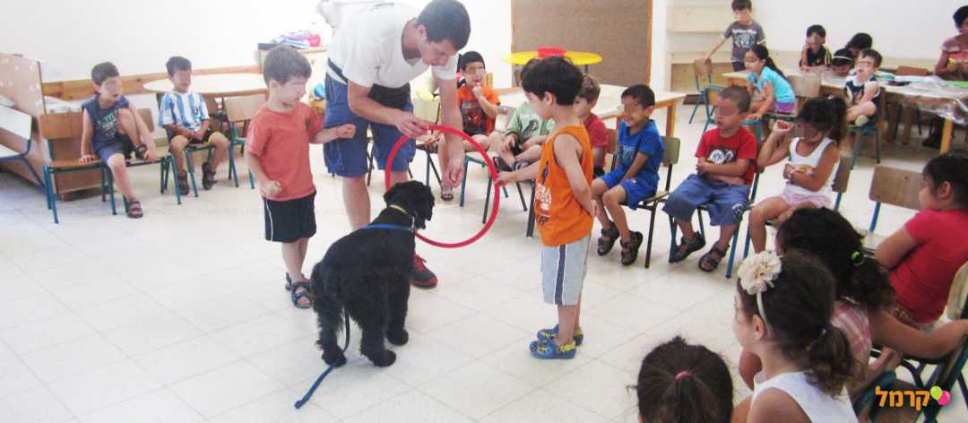מכשכשים עם כלבים