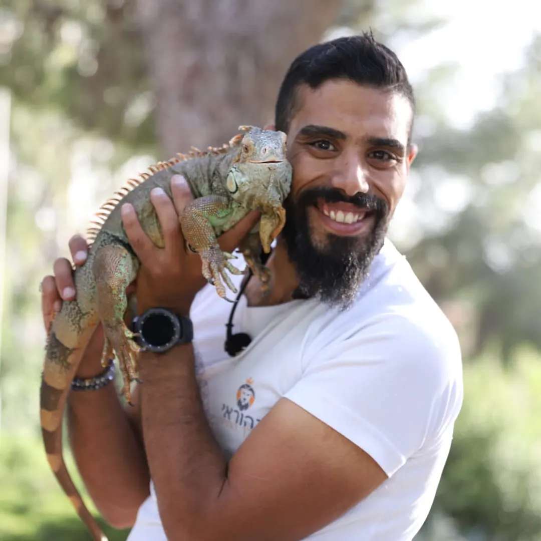 נהוראי מלך החיות