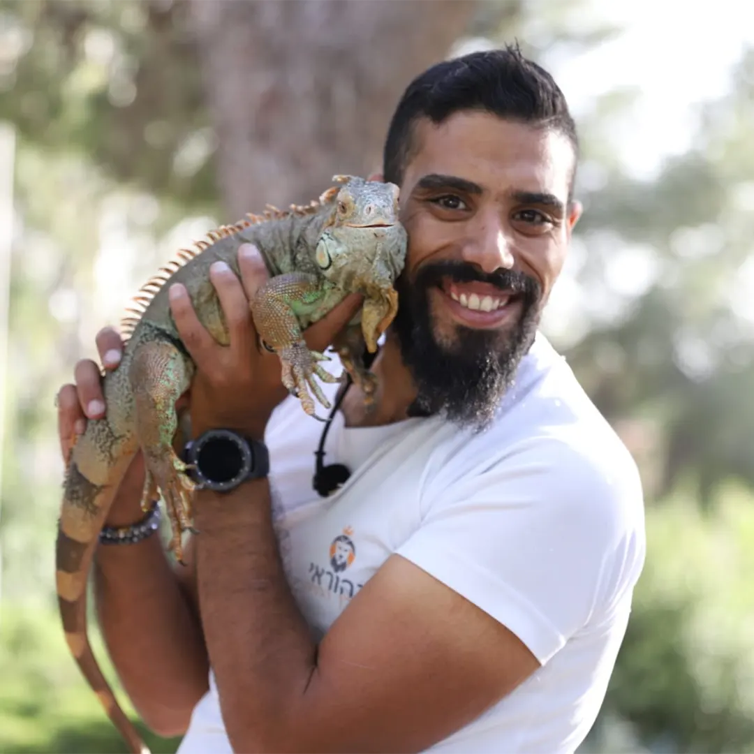 נהוראי מלך החיות
