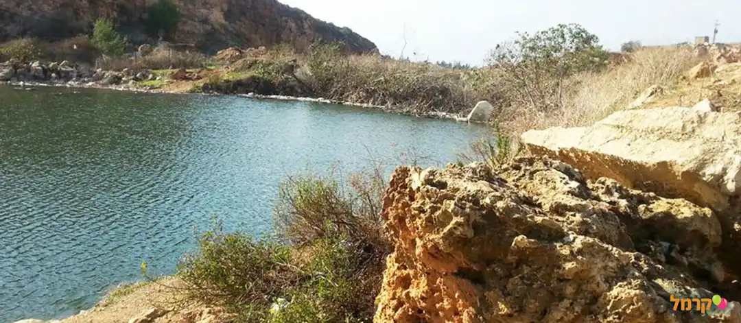 יאיר טיולי גיפים