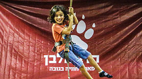הדב הלבן