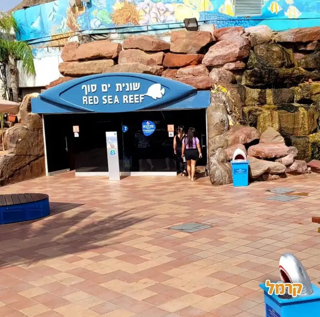 מתחם שונית ים סוף