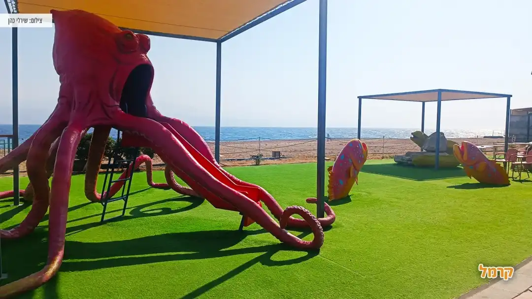 משחקים לילדים בשטחי הפארק