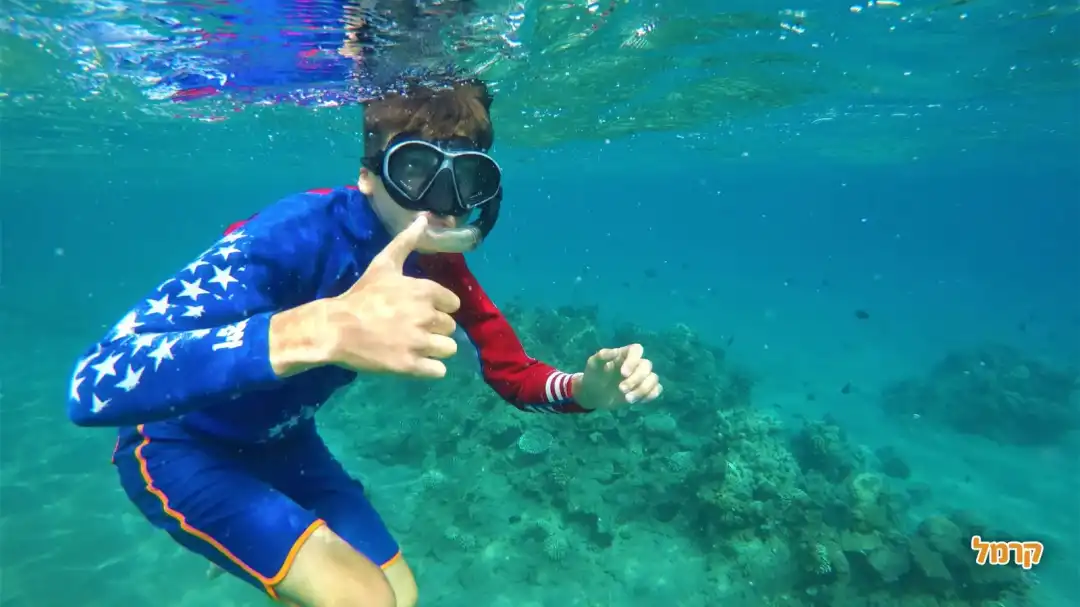 לעוף על המים