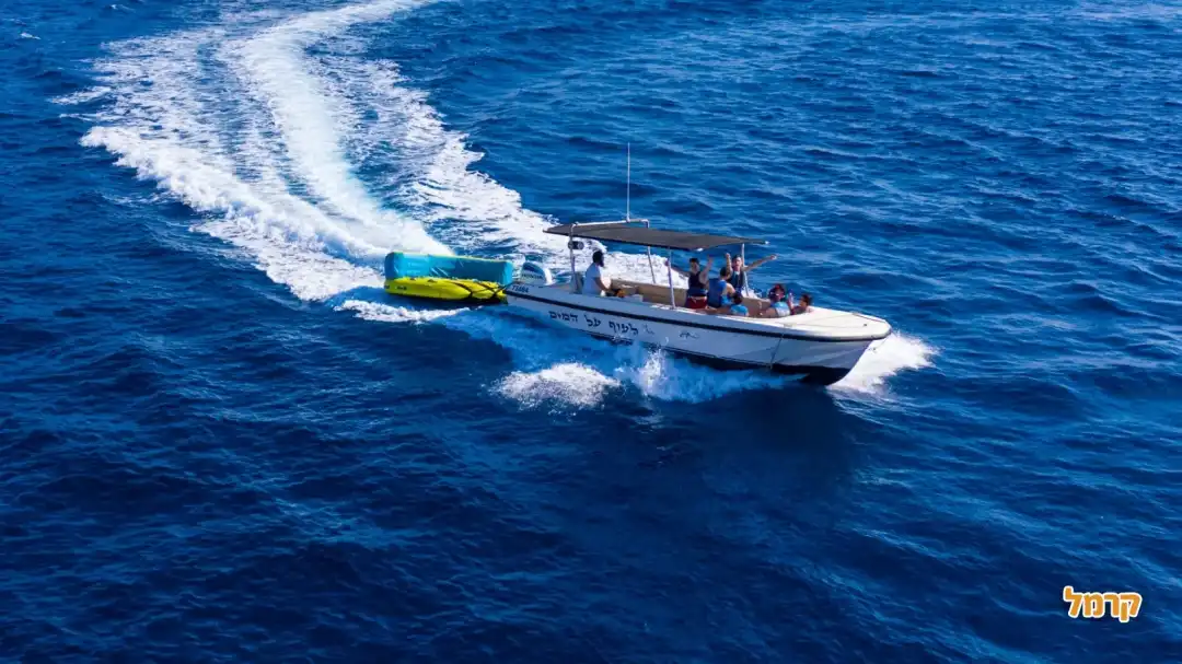 לעוף על המים