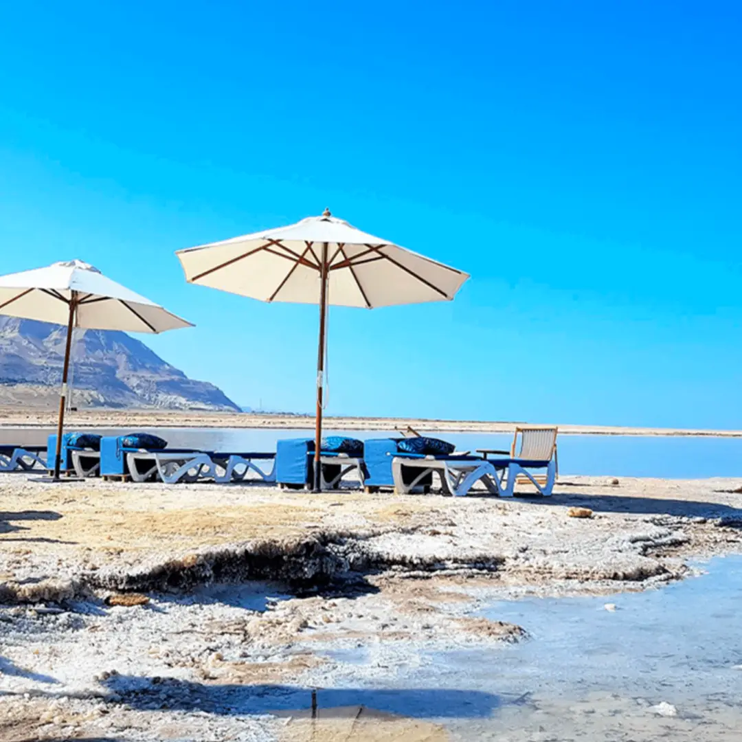 חמי עין גדי