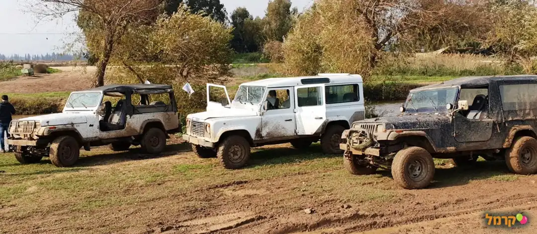 יום בגיפים בכיף