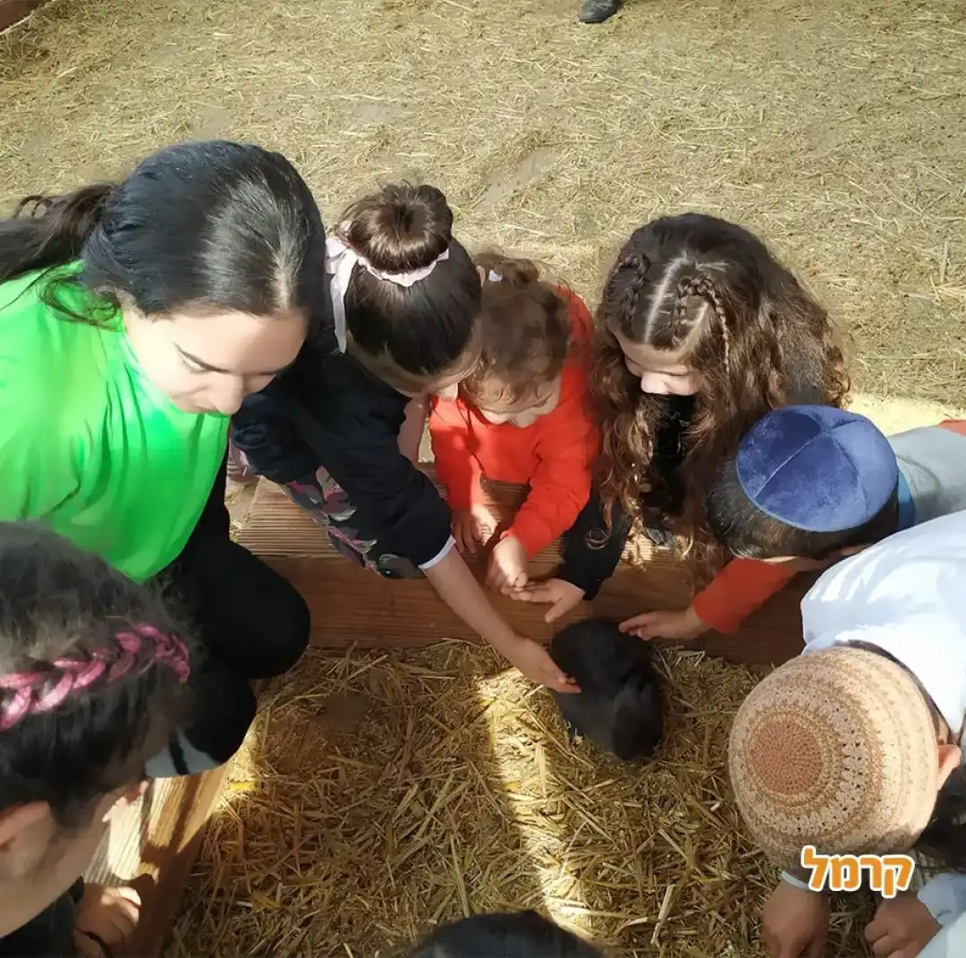 ילדים מלטפים ארנב