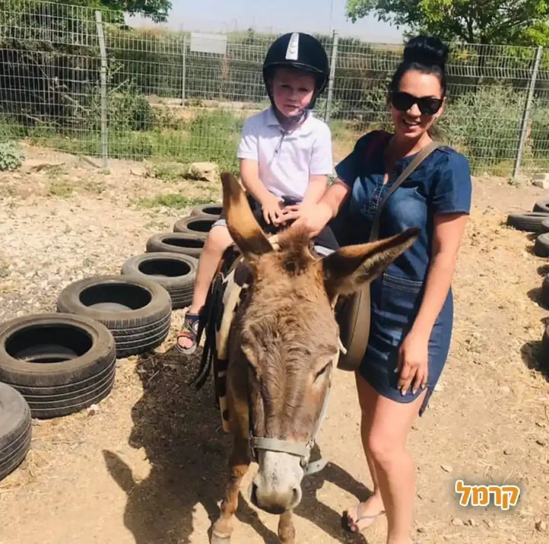 ילד רוכב על חמור