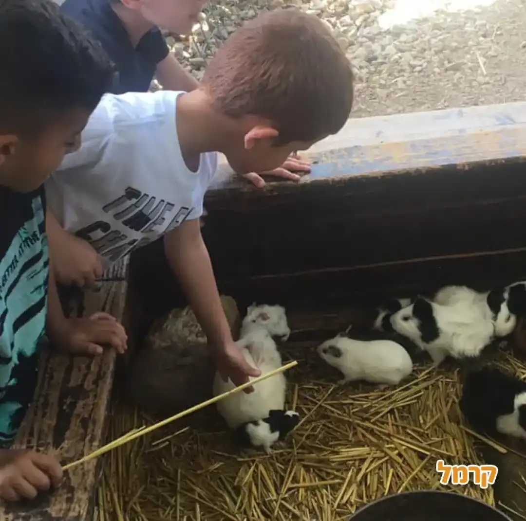 ילדים בפינת חיטוף