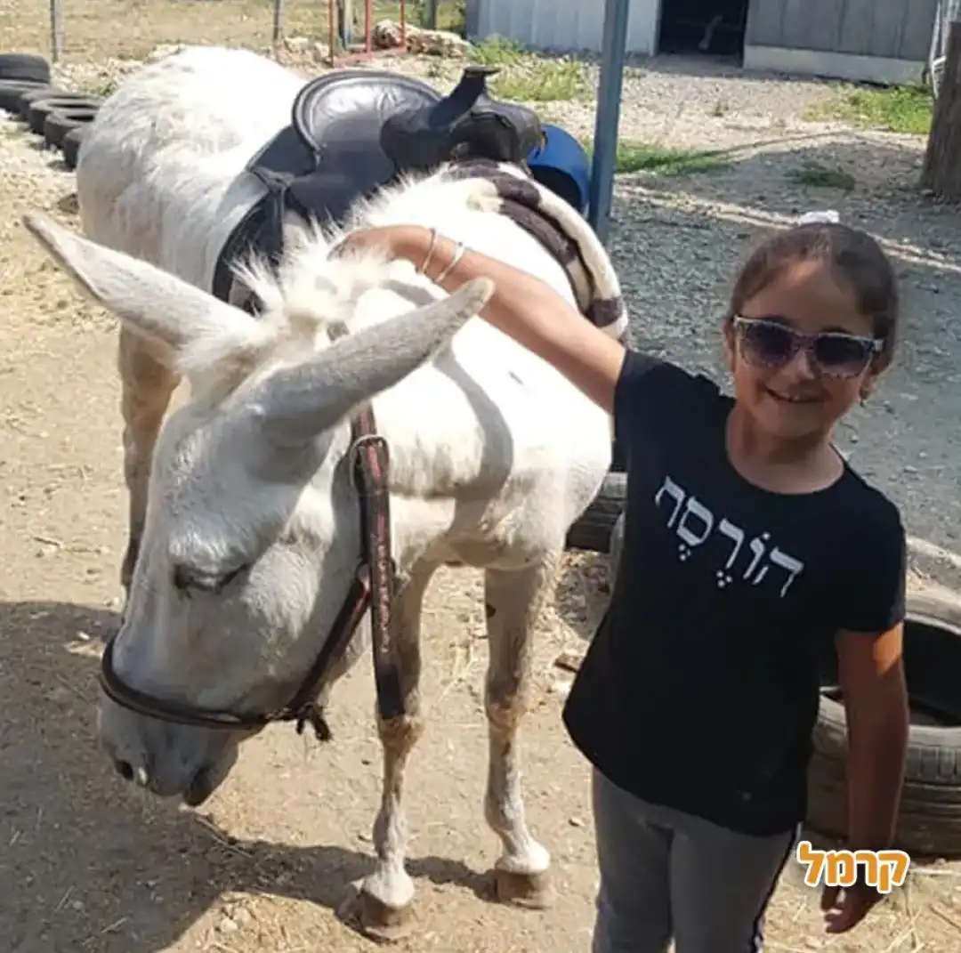ילדה מלטפת חמור