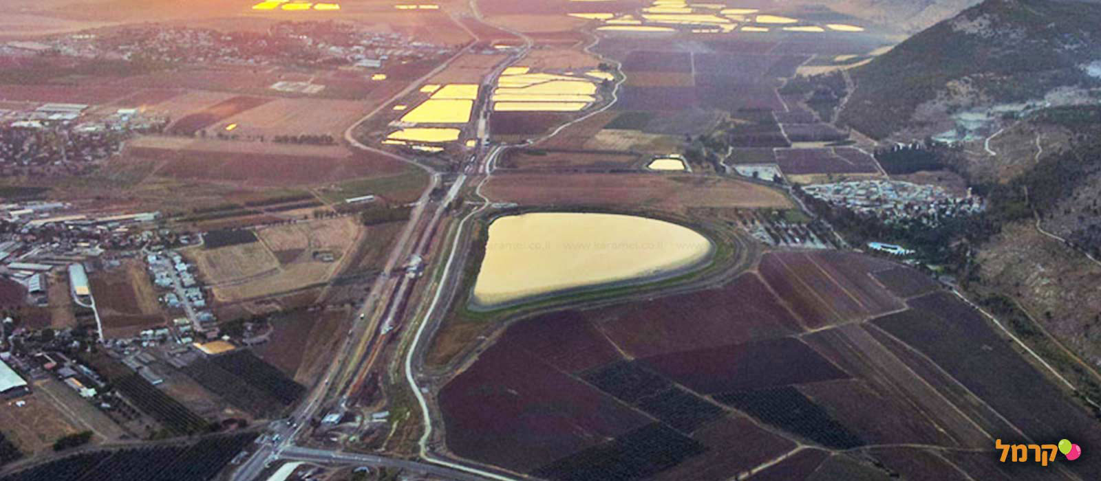 רייז אפ - כדורים פורחים - 073-7026648