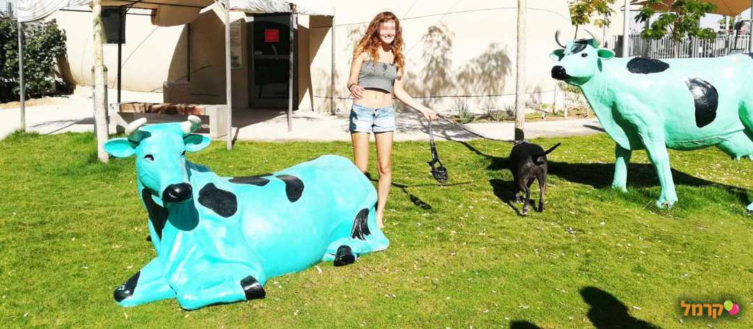 אישה עם כלב נהנים מהפארק