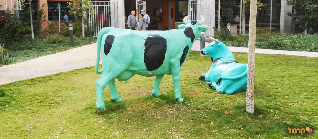 דמויות של פרות בפארק