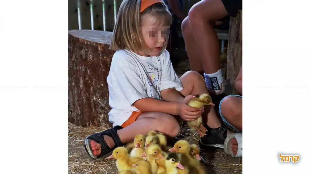 ברווזים בכפר