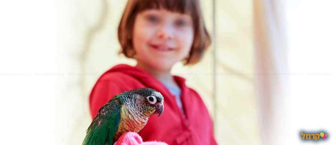 כפר החיות בכפר גלעדי