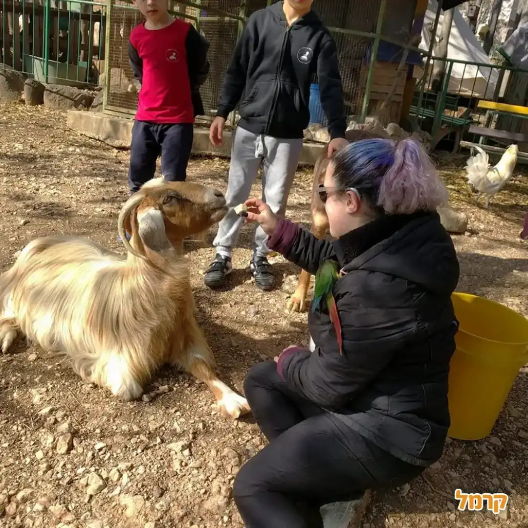כפר החיות בכפר גלעדי