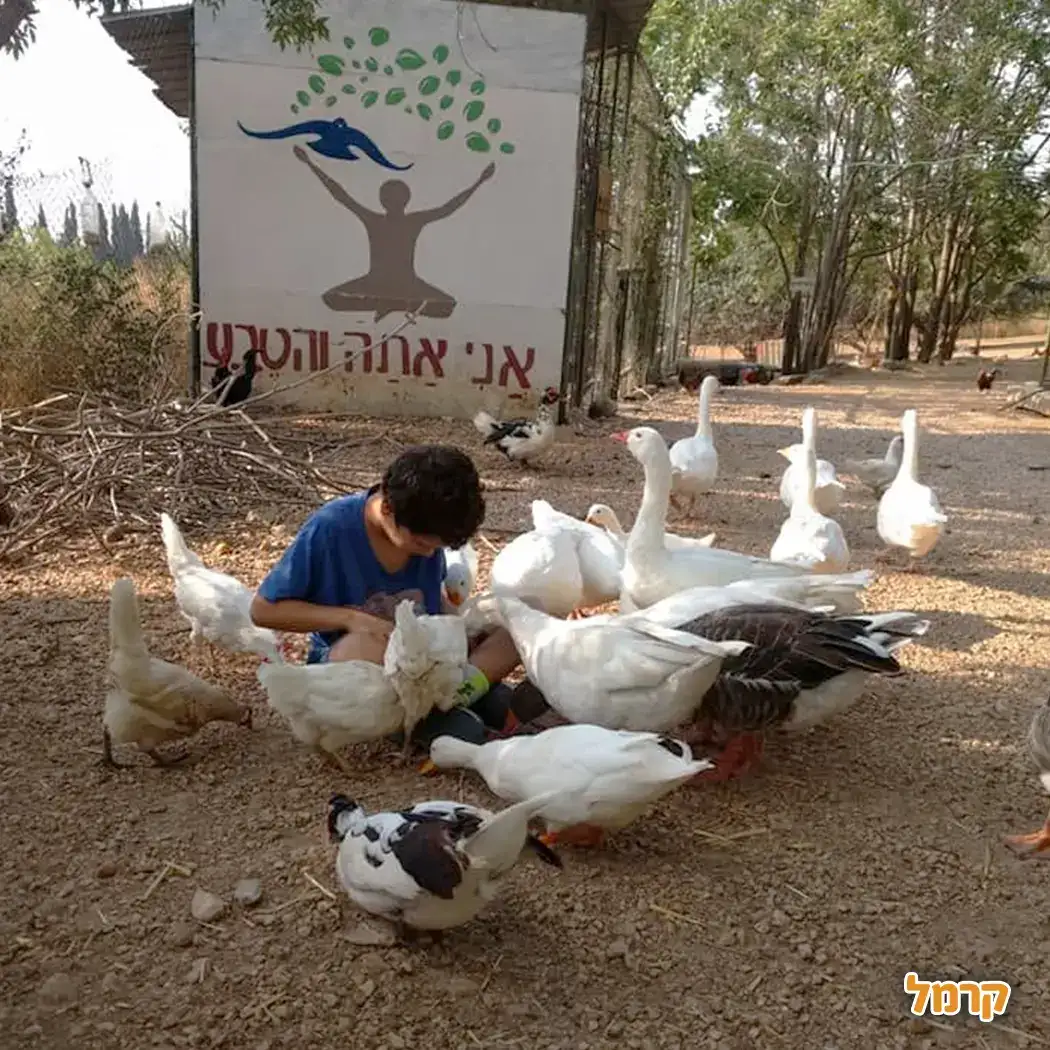 כפר החיות בכפר גלעדי