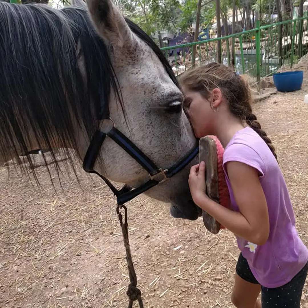 כפר החיות בכפר גלעדי כפר החיות בכפר גלעדי