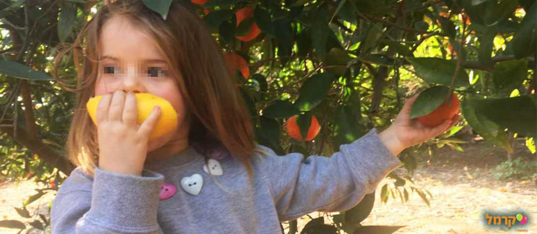 קטיף בית הראשונים