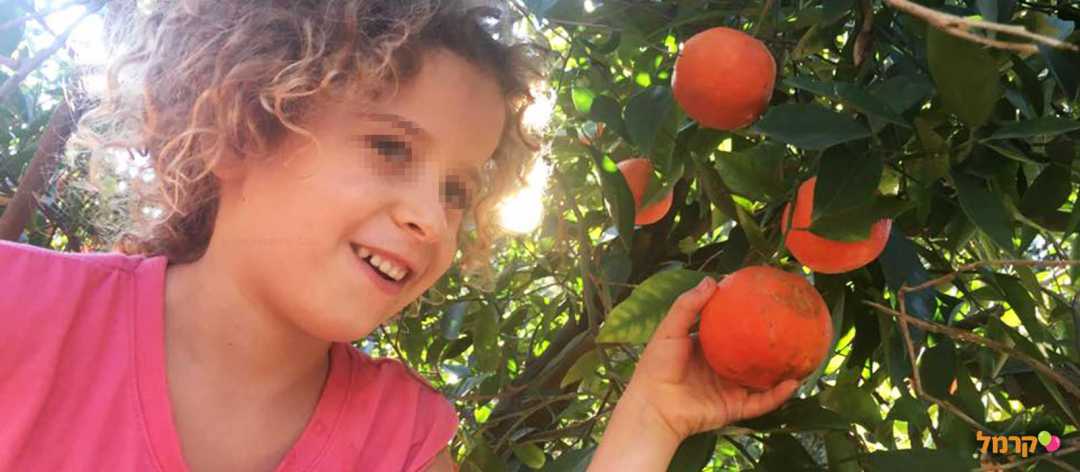 קטיף בית הראשונים