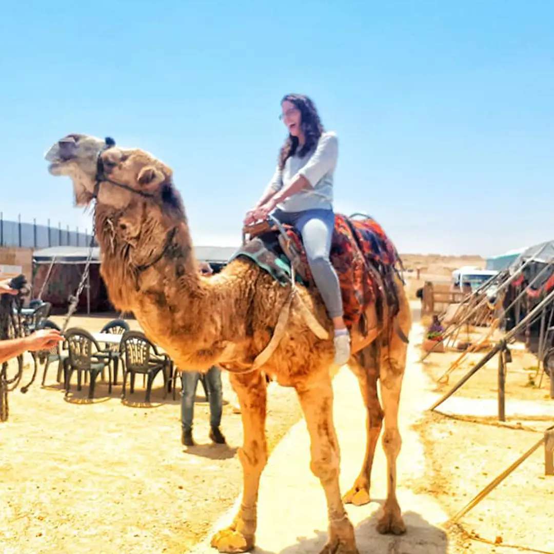 מרכז המבקרים חלב בראשית מרכז המבקרים חלב בראשית