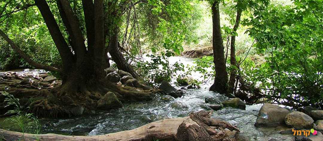 פעילויות למשפחה