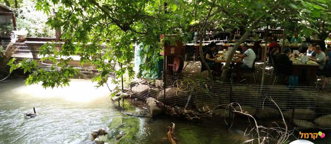 פעילויות למשפחה