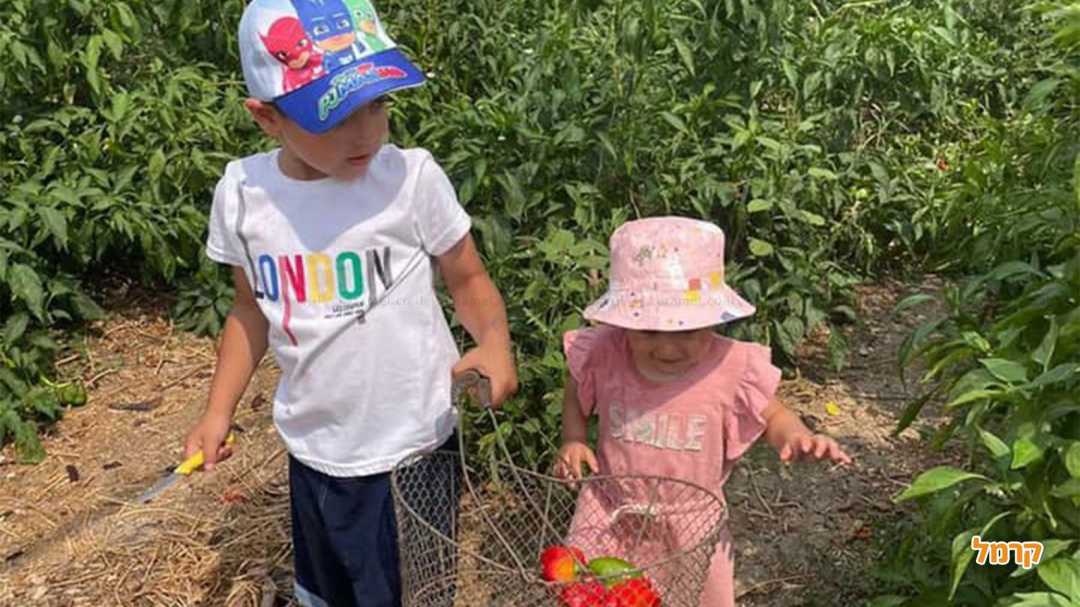 מתאים לילדים ולפעוטות