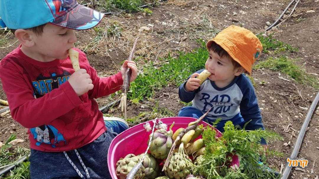 טעימות בשטח 