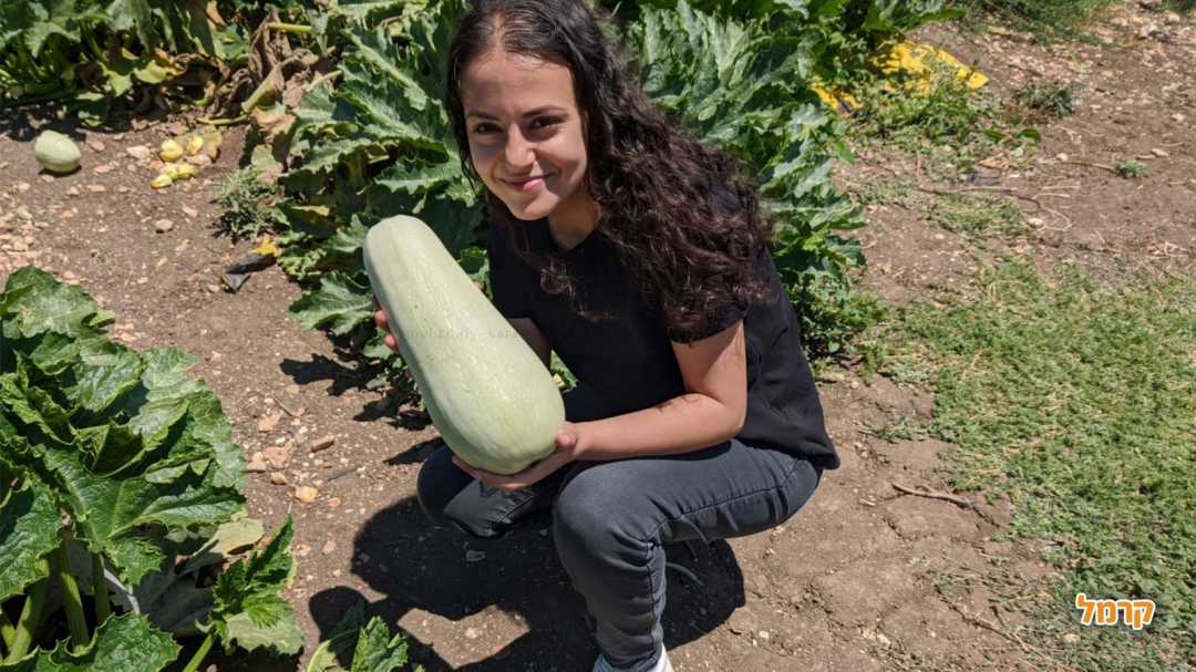 רק אצלנו תמצאו כזה קישוא ענק