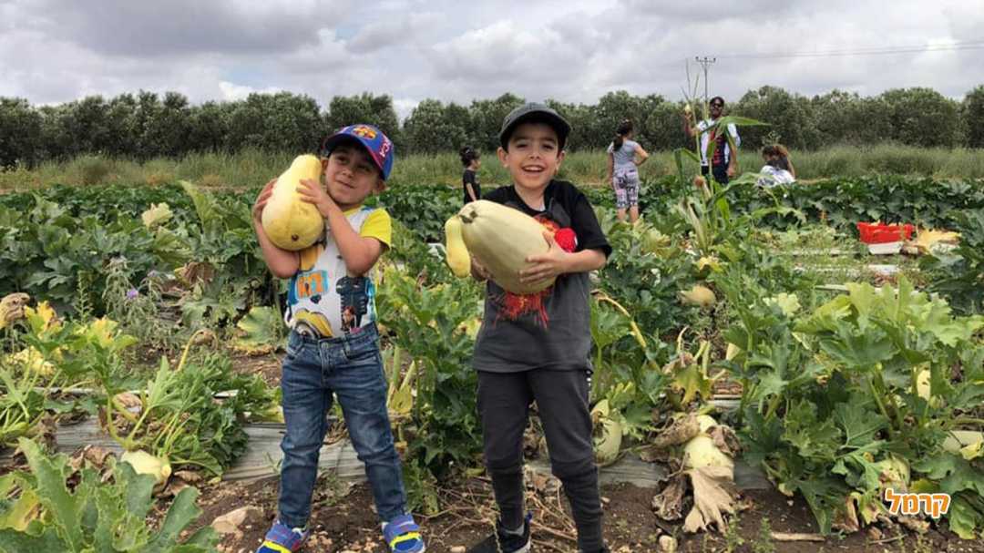 עוד ירקות ענק שתמצאו אצלנו