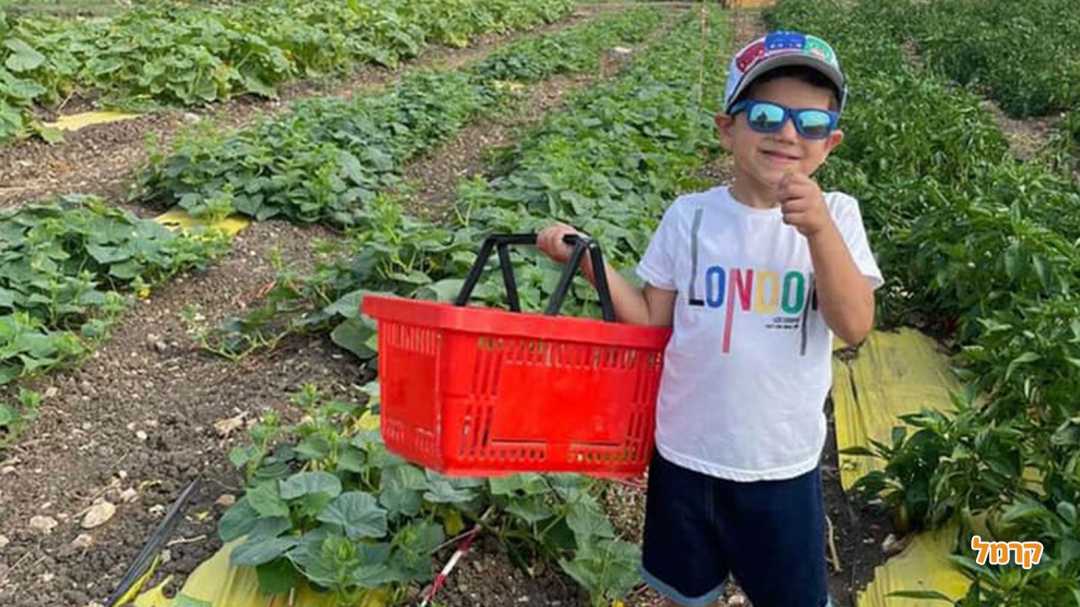 חווית קטיף לילדים