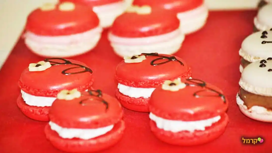 הפטיפורים של אביטל 