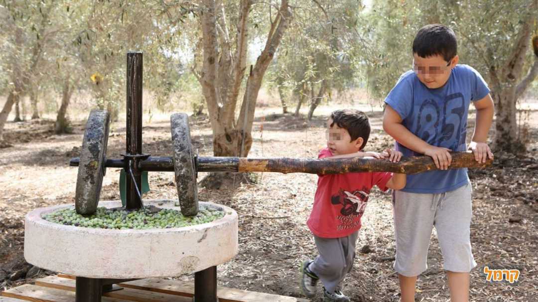 שמנא בית בד כפרי 