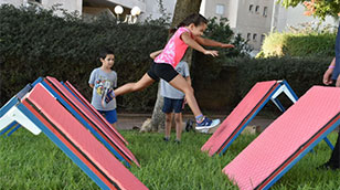 אתגר הנינג'ה עם הר המידוריאמה! אתגר הנינג'ה עם הר המידוריאמה!