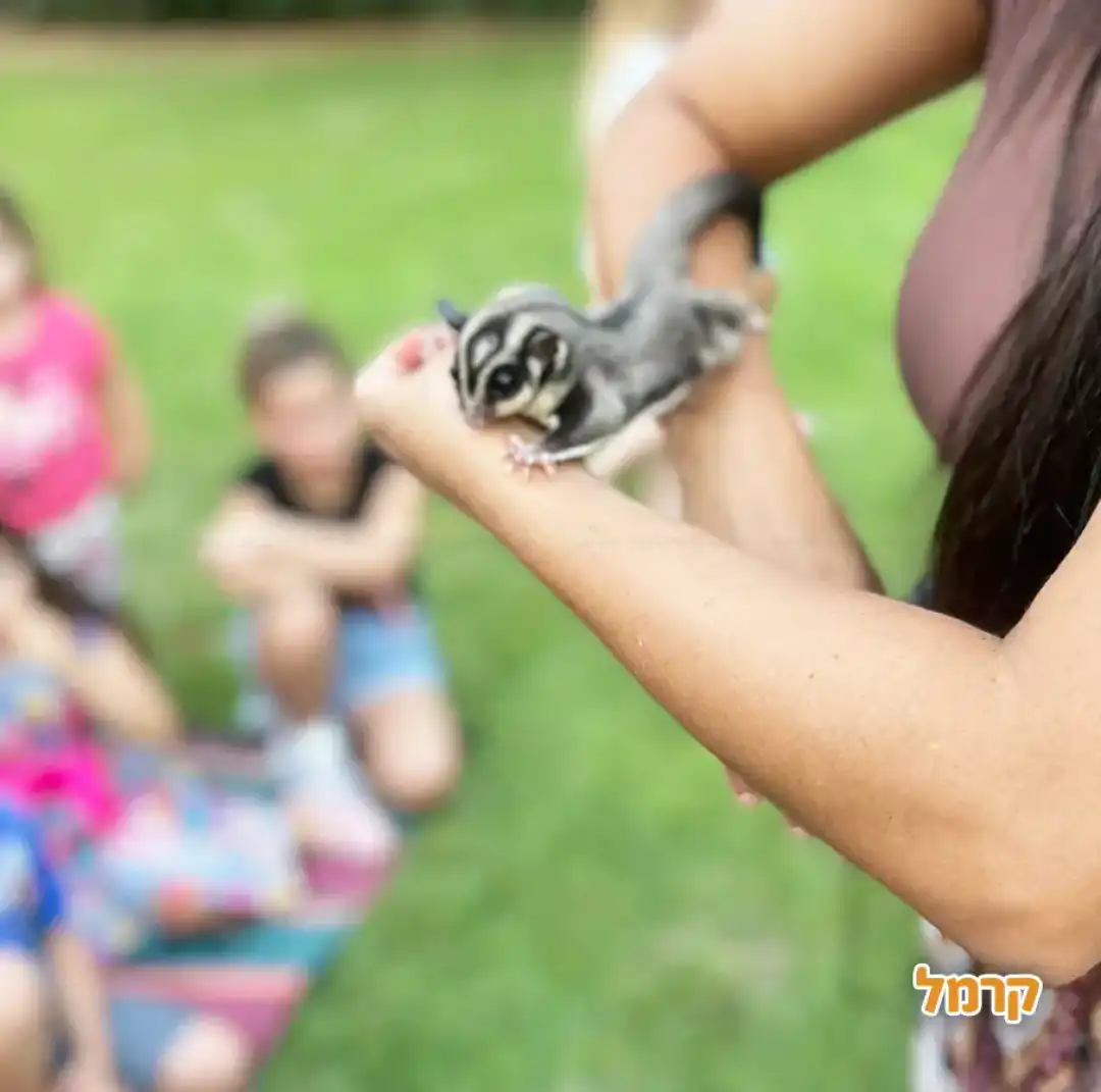 גן החיות שלי