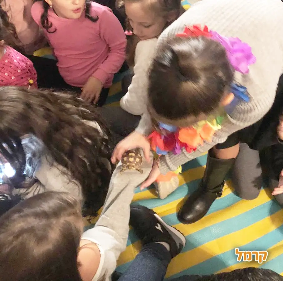 גן החיות שלי - 073-7590774