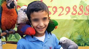 חוויה מאלפת