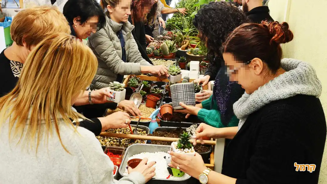 סדנת סוקולנטים, קקטוסים ובונסאי