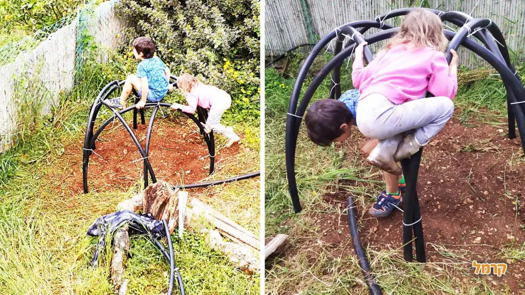 טנא מלא כוכבים