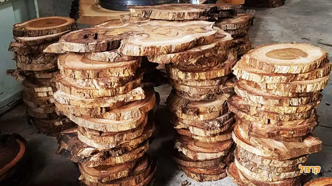 הנגריה הפתוחה