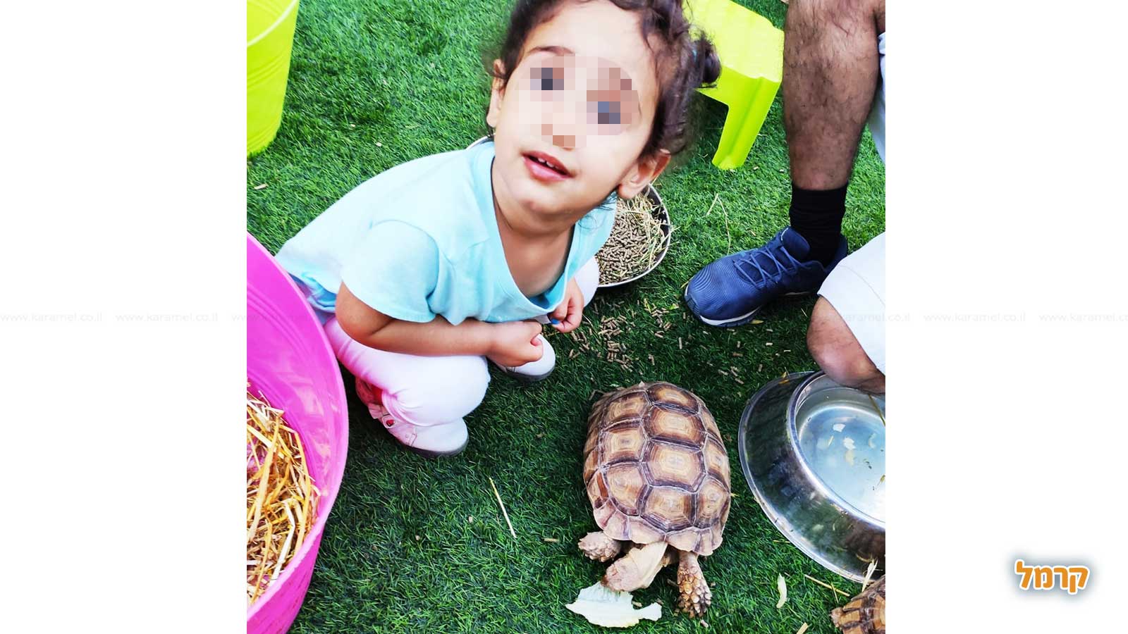 ג׳ונגל ג׳וי - 073-7026301