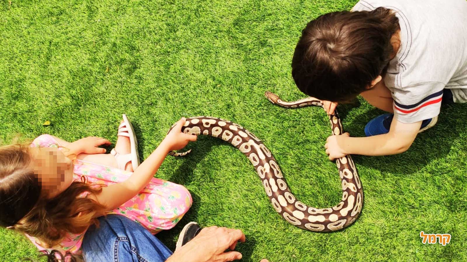 ג׳ונגל ג׳וי - 073-7026301