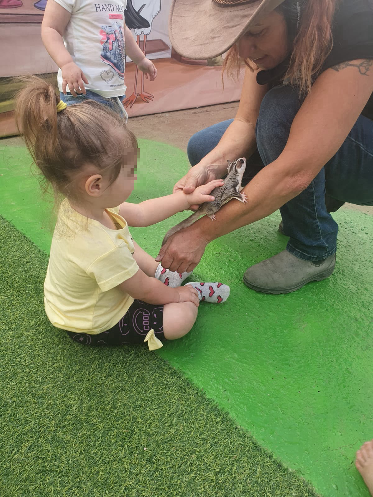 ג׳ונגל ג׳וי - 073-7026301