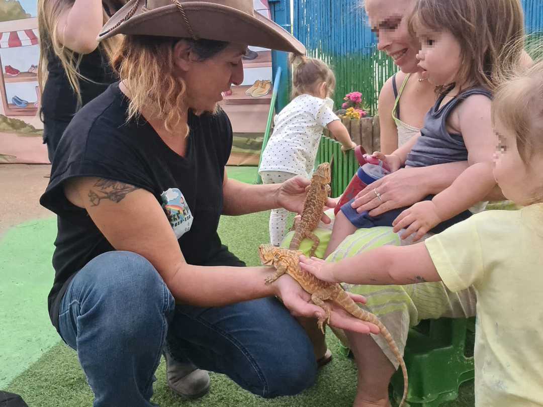 מתחם הג׳ונגל ג׳וי