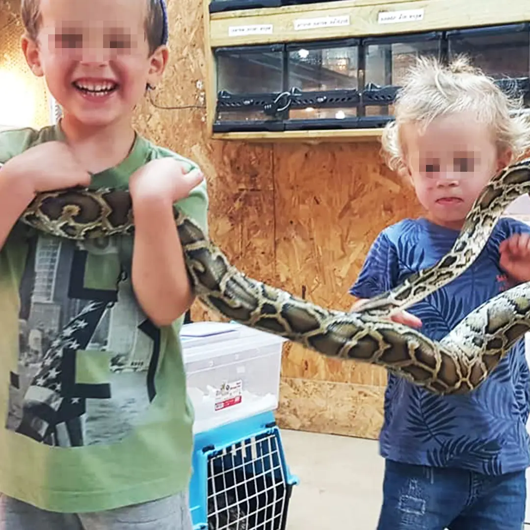 חוות החיות של שלמה